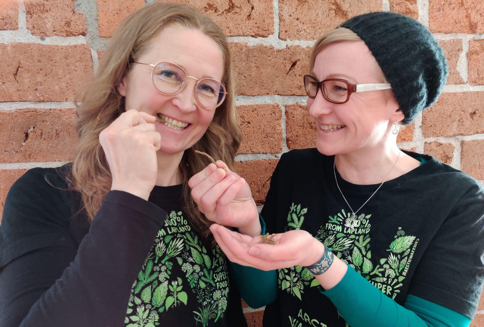 ituhippeilya-ilman-horhoilya Ituhippeilyä ilman hörhöilyä podcast