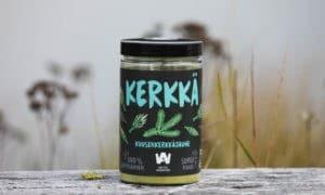 Kuusenkerkkää Lapin metsästä