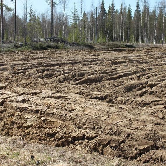Haluatko sinä tilasi tähän?