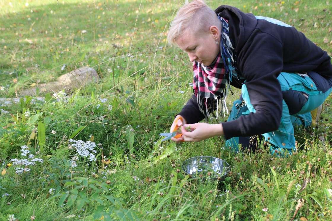 Kansanparantajan perillinen Katja Misikangas
