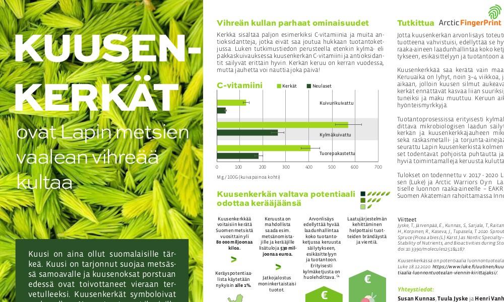Kuusenkerkän ravintoaineet